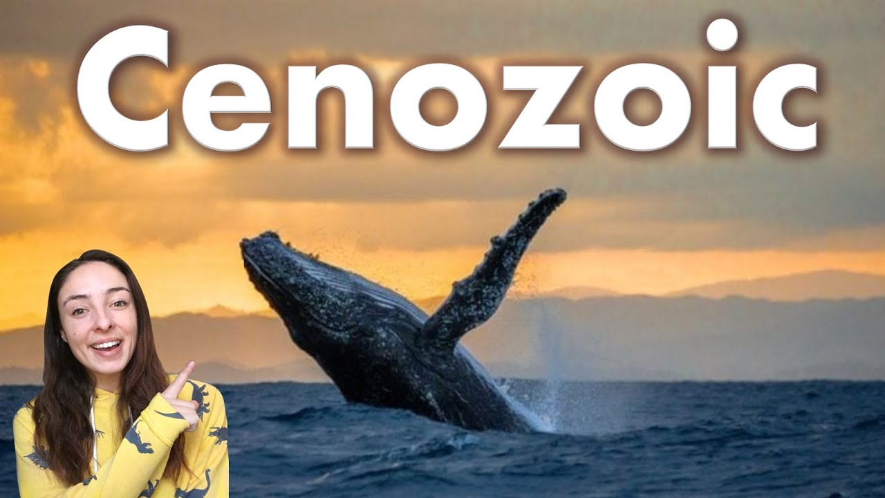 Cenozoic Era- Geologic & Biological Events, Including Primate Evolution | GEO GIRL