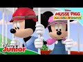 Musse Har Ett Nytt Hus Musse Pigg Makalösa äventyr Disney Junior Sverige