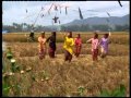 Tari Panen DAT