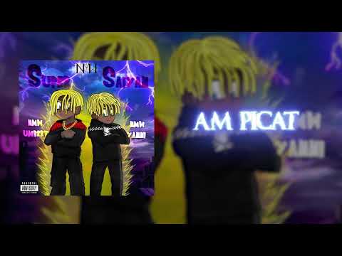 Video thumbnail for Am picat