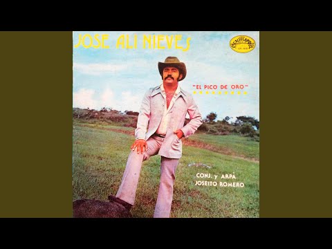 Adios paso real de Arauca