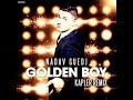 Nadav Guedj - Golden Boy ( Kapler Remix ) 