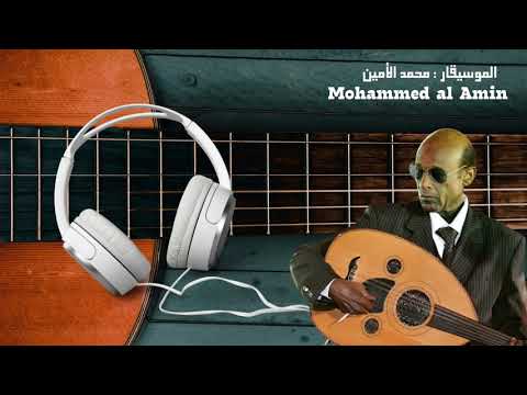 محمد الامين حلم الاماسي