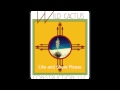Wild Cactus Movie 1