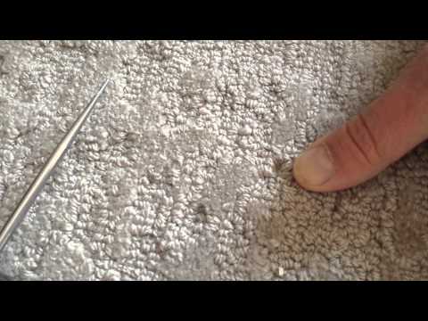 YouTube video about: How to fix carpet fuzzing?