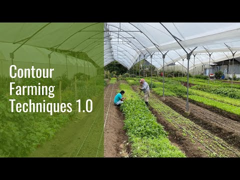 Contour Farming Techniques 1.0 - Learn the Basics on how Contour Farming can Improve Your Crops
