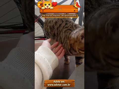 Vídeo de lil