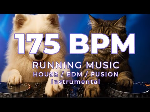 175 BPM Running Music | 90 Mins | House, EDM, Fusion | Metronome Synced | Instrumental