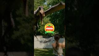 The whole neighborhood is Certified Fresh.