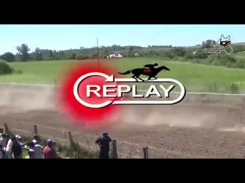 6 de febrero hiporrecta el ceibo.   victoria entre rios.    7° carrera 500mts ganadora: carnicera