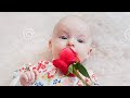 Cute Baby Love Status Cute Little Baby Cute Baby Girl So Sweet Baby I Love Baby