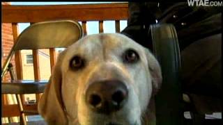 Dying Man Wishes To Be With Pet During Last Days