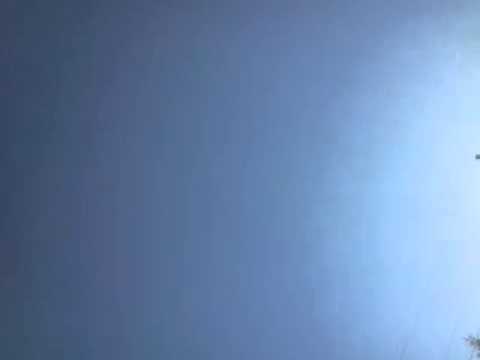 Dynekt e Kosoves Vlladika e Suadit