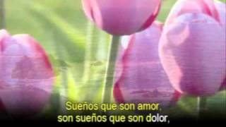 QUIERES SER MI AMANTE  CON LA LETRA - CAMILO SESTO .wmv