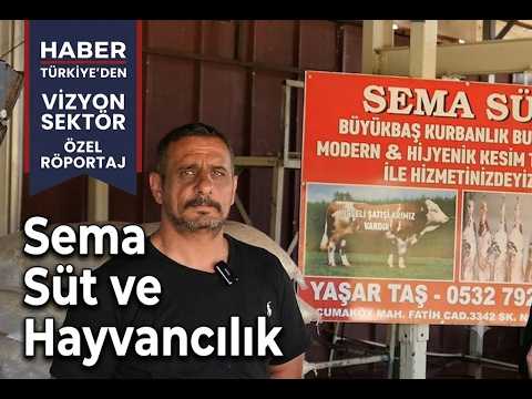 Gebze Cumaköy’de 365 Gün Doğallık: Sema Süt ve Hayvancılık