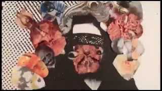 Blue Eyed Hexe- The Pixies (Squeegee Mix)