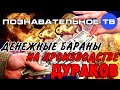 Денежные бараны на производстве дураков (Познавательное ТВ, Валентин Катасонов) 