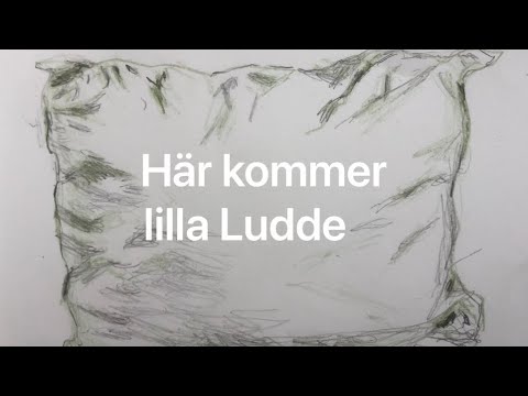 Här kommer lilla Ludde (med text!)... bärande på en kudde...
