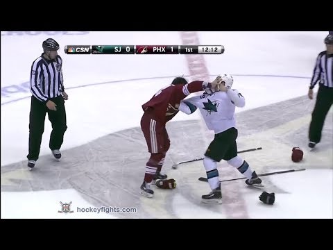 Andrew Desjardins vs Kyle Chipchura Dec 27, 2013