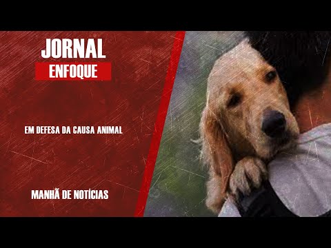 EM DEFESA DA CAUSA ANIMAL