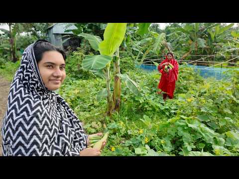 আমার কথায় কেউ কষ্ট পেয়ে থাকলে তার জন্য আমি দুঃখিত | Doyel Agro