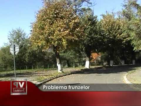 Problema frunzelor