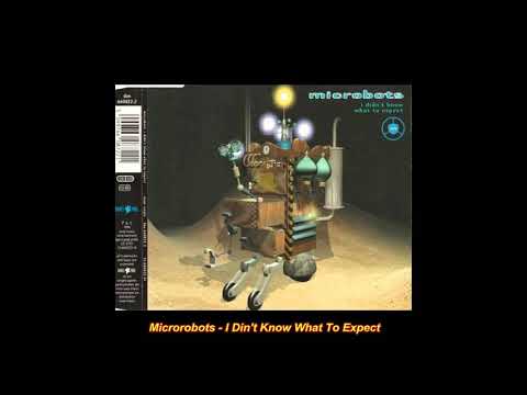 Microbots ‎– I Didn't Know What To Expect  (1994)