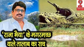 बड़ा खुलासा: राजा भैया के इस तलाब का भयानक सच जानकर हो जाएंगे दंग | Raghuraj Pratap Singh video