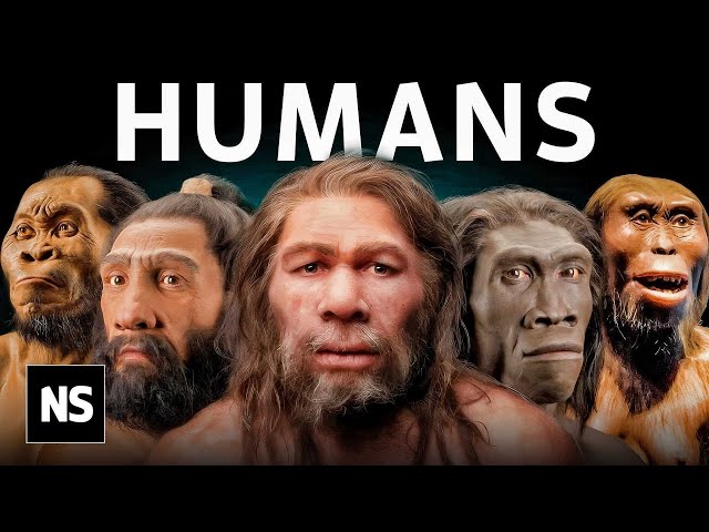 Everything We Know About Our Human Origins SDDEFAULT Thumbnail
