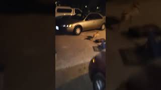 Download lagu Coming home mp3