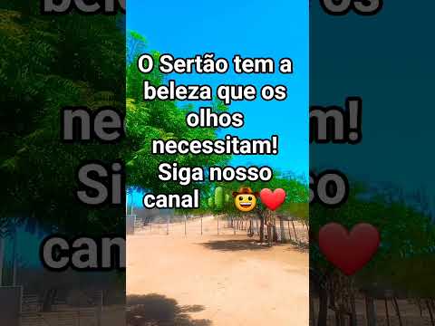 #jesus #mensagem #sertão #serido #caicó #riograndedonorte #Ipueira