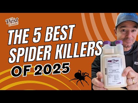 Top 5 Best Spider Killers of 2025, According to a Pest Control Expert
