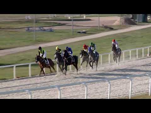 2020.11.29. 05. futam - NÉMETH FERENC EMLÉKKUPA VI. FUTAMA HENDIKEP (IV.o.) (szintetikus pálya)