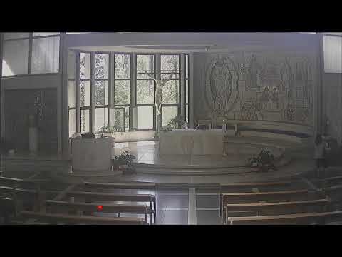 Santa Messa - 5 luglio 2020