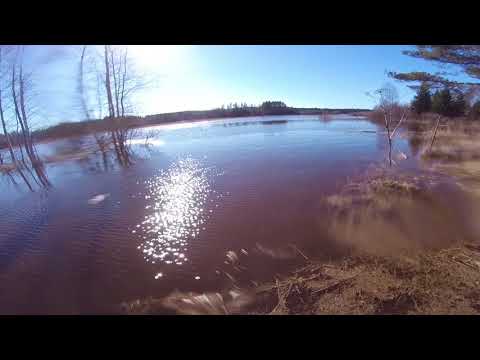 Joki tulvii kurkistus pinnan alle 1902018LA