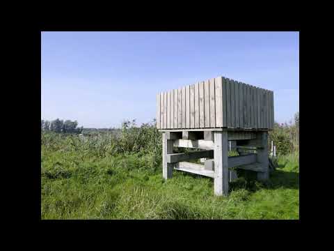 Rondwandeling uiterwaarden IJssel / rode route - Wilsum