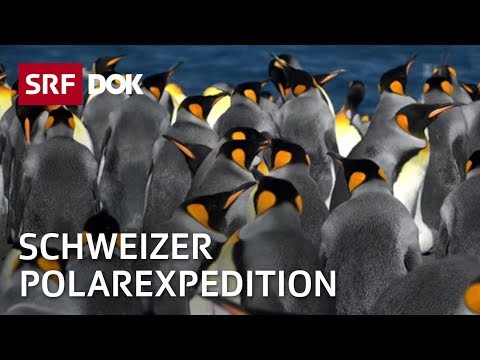 Abenteuer Antarktis – Danièle Rod und die Polarforscher | Reportage | SRF