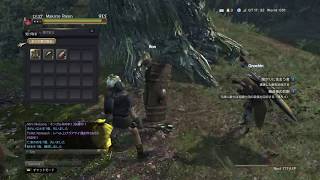 ドラゴンズドグマオンライン初見実況#5
