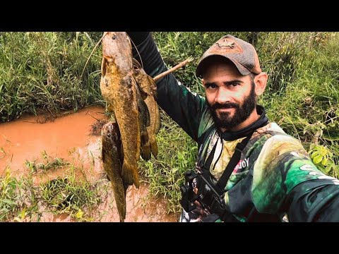Dirty water? Catfish gone crazy! Brutal fishing! The stream only has big fish!
