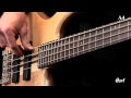 A5 (OPN), зображення 