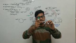 L10: Cloning Vectors, Insertional inactivation and Blue white screening by Vipin Sharma