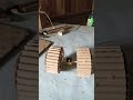 Monster Truck Shorts Diy Making Rc Monster Truck Cardboard