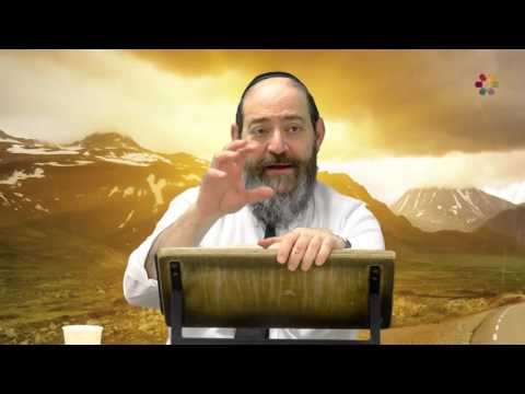 Rabbi David Kaplan - Weekly Torah Portion: Ki Tisa - Part 2