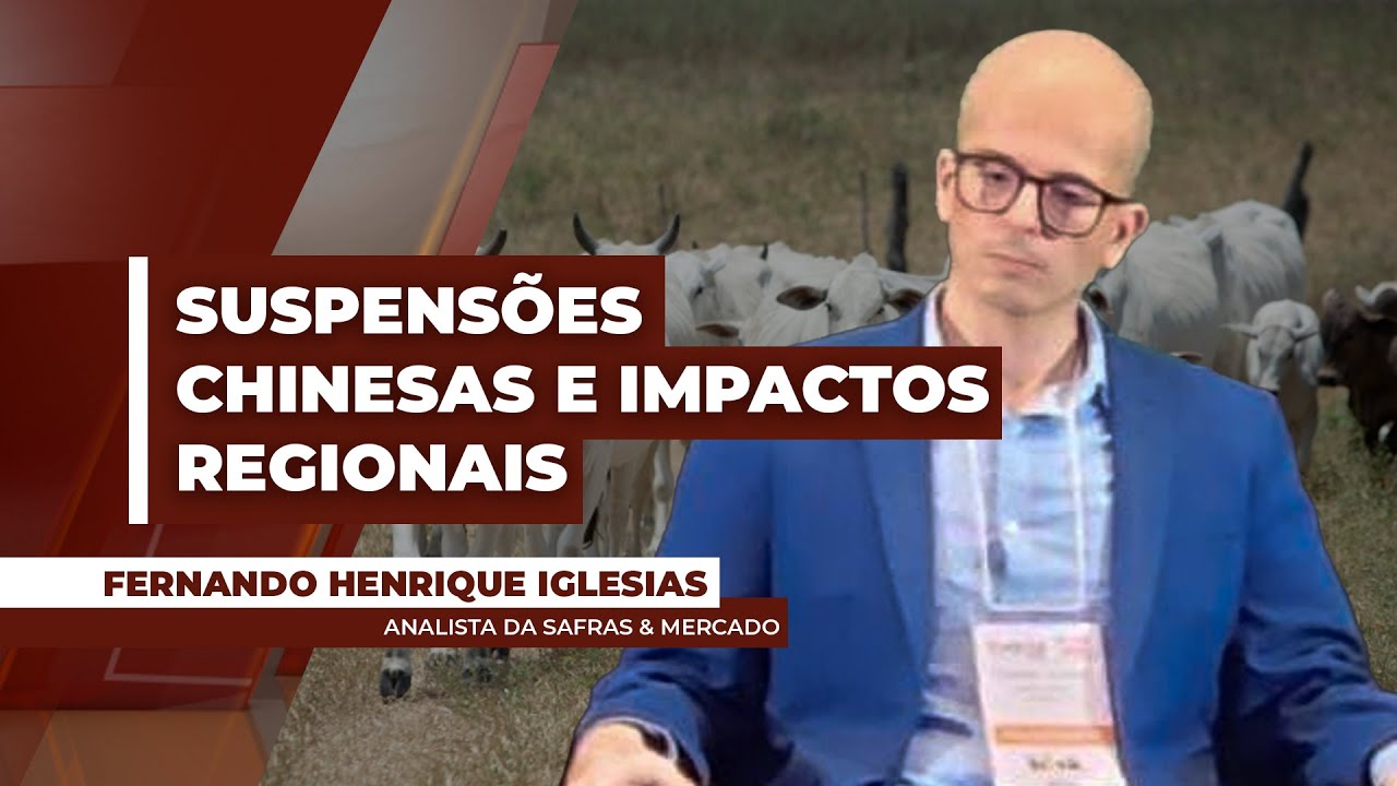 Impactos nos preços da arroba do boi após suspensão da China de três frigoríficos deve ser ...