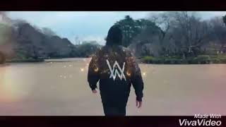 Happy New Year, Alan Walker!!!❤