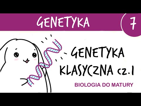 Genetics 7🧬 Classical Genetics basic key concepts - extended high school biology exam