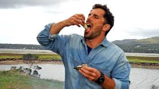 Wild Tasmania - Travel Deeper Australia (Ep. 2)
