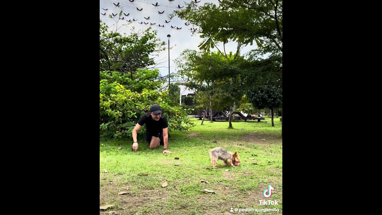 Jorge Emilio Navarro Palmera-91