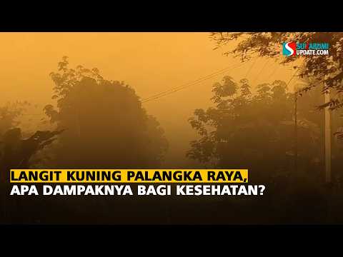 Langit Kuning Palangka Raya, apa Dampaknya Bagi Kesehatan?