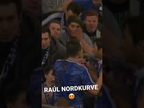 RAUL IN DER NORDKURVE 😱😍